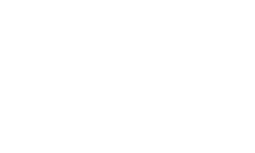 Pelt